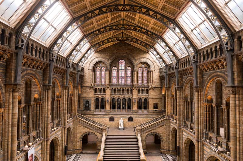 Central Hall of The Natural History Museum 