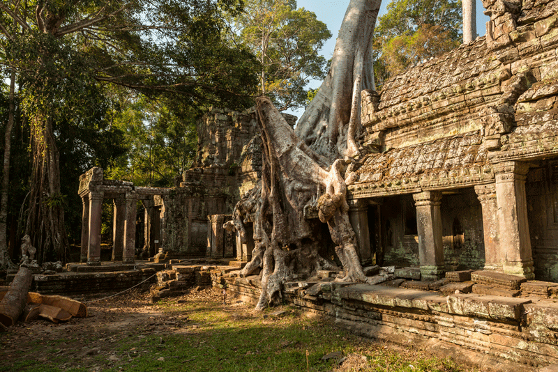 Angkor Ta-Phrom-cambogia 