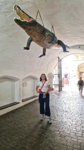 drago di brno